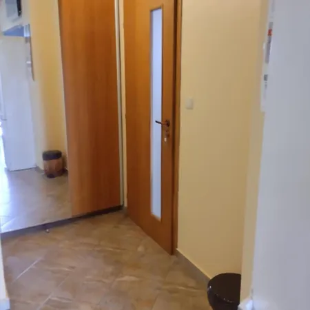 за гости бранко и приятели